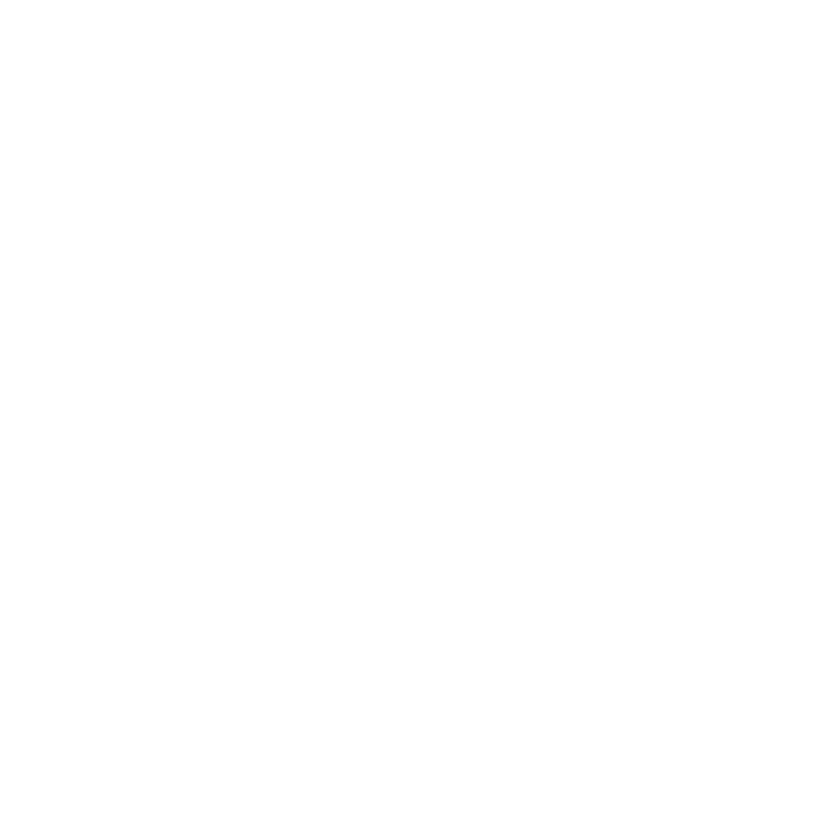 IEEE 20Section 20white